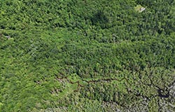 905 Gideons Mill Road, Brighton, VT 05846