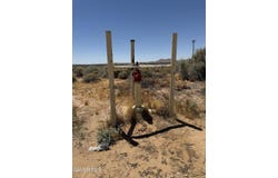 Twenty Mule Team Road, Boron, CA 93516