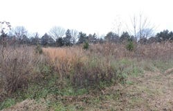 OFF HWY 378, Waldron, AR 72958