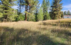 PINE GROVE St, REPUBLIC, WA 99166