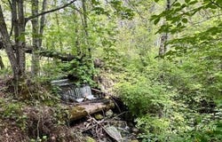 791 Rancheria Creek Rd, Trinity Center, CA 96041