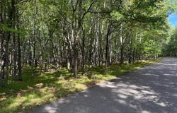 RIVERVIEW DR lot: On, St Germain, WI 54558