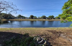10813 Taco Way, Riverview, FL 33569