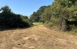 CR 2374, Detroit, TX 75436