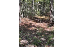 GERTIES LN, STUARTS DRAFT, VA 24477