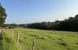 Wilkerson Road, Adolphus, KY 42120