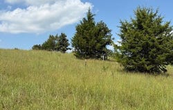 2285 County Road 437-B, Mountain View, MO 65548