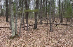 Parcel B Coates Hwy, Brethren, MI 49619