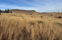 106 White Tail Dr, Fort Davis, TX 79734