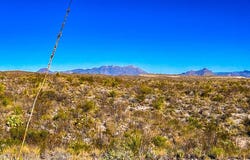 34952 Mariposa Dr, Terlingua, TX 79852