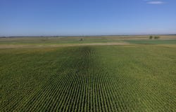 141st St, Ipswich, SD 57451