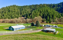 11119 N MYRTLE Rd, MyrtleCreek, OR 97457