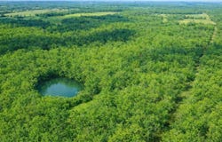 P Highway, Koshkonong, MO 65692