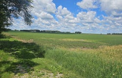 Section 35, Osc, Ackley, IA 50601