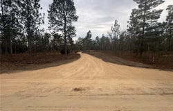 SE 4TH Street, WILLISTON, FL 32696