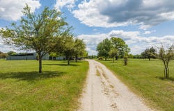 Fcr 920, Mexia, TX 76667