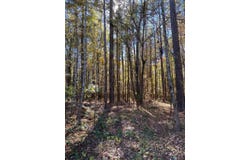 1 Allenwood Dr., Canton, MS 39046