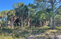 Airport Rd, Cedar Key, FL 32625