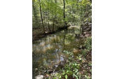 Ross Hollow, Roland, AR 72223