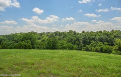 Tract C Bowman Ln, Taylorsville, KY 40071