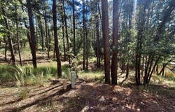 170 E Green Apple Lane, Payson, AZ 85541
