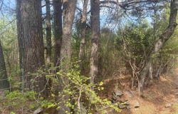 213 Primrose Lane, Judsonia, AR 72081