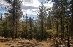 Piute Pines, Caliente, CA 93518