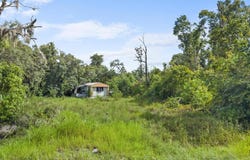 16 NE 538th St, Old Town, FL 32680