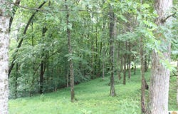 141 Cherokee Drive, Lucas, KY 42156