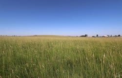 Stuart Road, Parcel A, Orofino, ID 83544