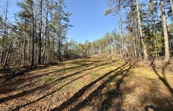 County Road 500, Ripley, MS 38663
