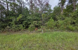 COOL BRANCH RD, Georgetown, GA 39854