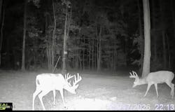 11330 Ms-429, Carthage, MS 39051