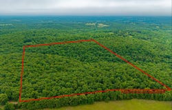 Co Rd 519, Hardenville, MO 65666
