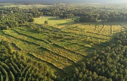 11952 Highway 278, Dierks, AR 71833
