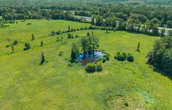 2620 N Pine Ave, Heidelberg, MS 39439