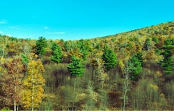Duck Gap Road lot: 2, Rebersburg, PA 16872