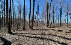 Lot #2 Olde Stone Ridge, Crumpler, NC 28617