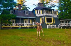 Long Lake, NY 12847