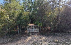 0 (6.17 Acres) Pineknot Road, Box Springs, GA 31801