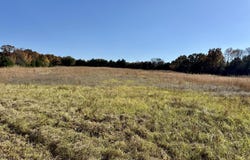 150 Holloway Lane, Greenbrier, AR 72058