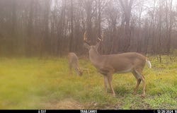 CR 3302, DeKalb, TX 75559