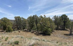 46 Yarrow Court, Durango, CO 81301