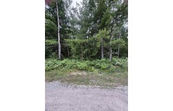 871 Zipf Street, Pellston, MI 49769