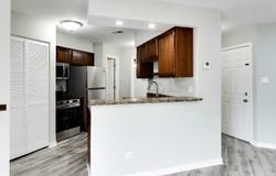 1364 E Wyndham Circle, Palatine, IL 60074