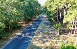 Kitchings Road, Williston, SC 29853