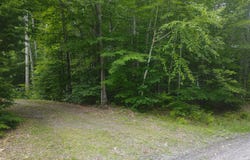 Stream Road, Vienna, ME 04360