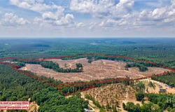 Gene Smith Road, Carlton, GA 30627