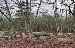 Mason Road, Milton, NH 03851