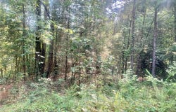 Doe Lane, Dover, AR 72837